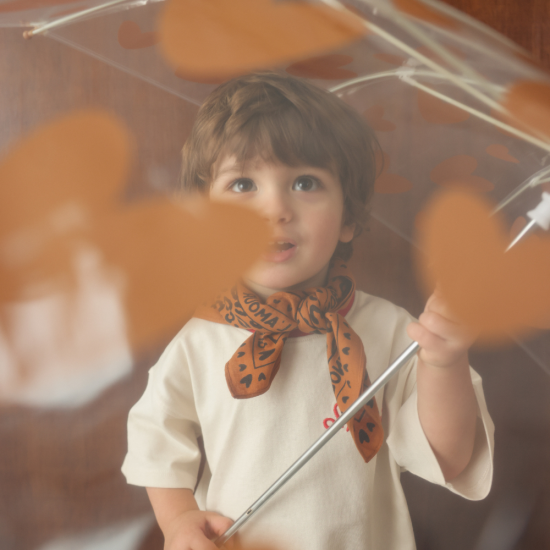 Parapluie - Cœur Marron