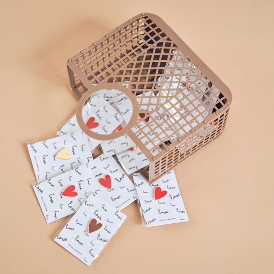 Pins - Merci Maîtresse