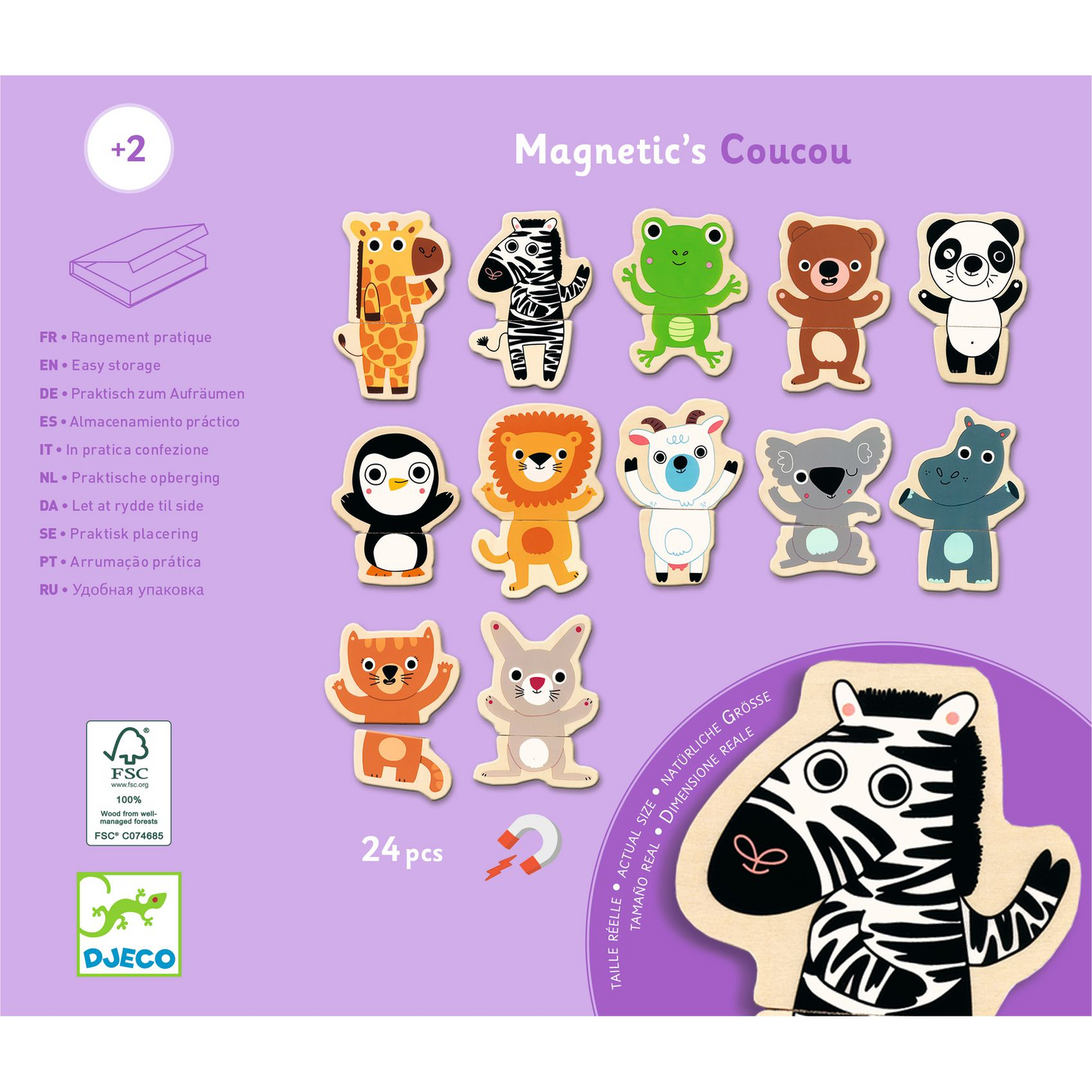 Magnetic’s Coucou