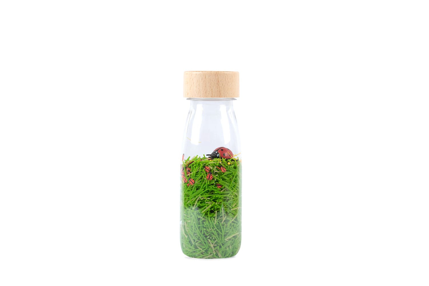Bouteille sensorielle - Coccinelles