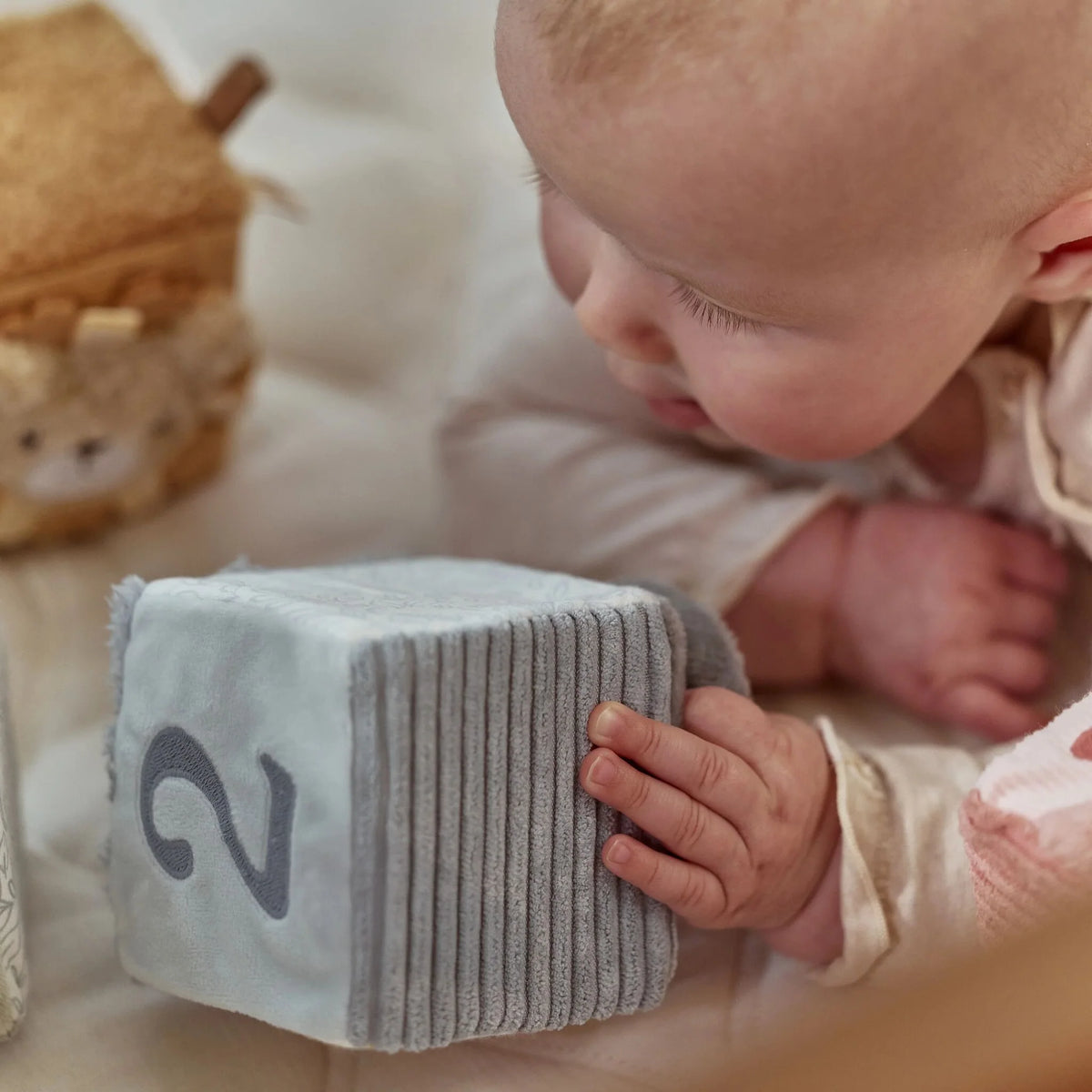 Lot de 4 cubes doux - Safari Friends