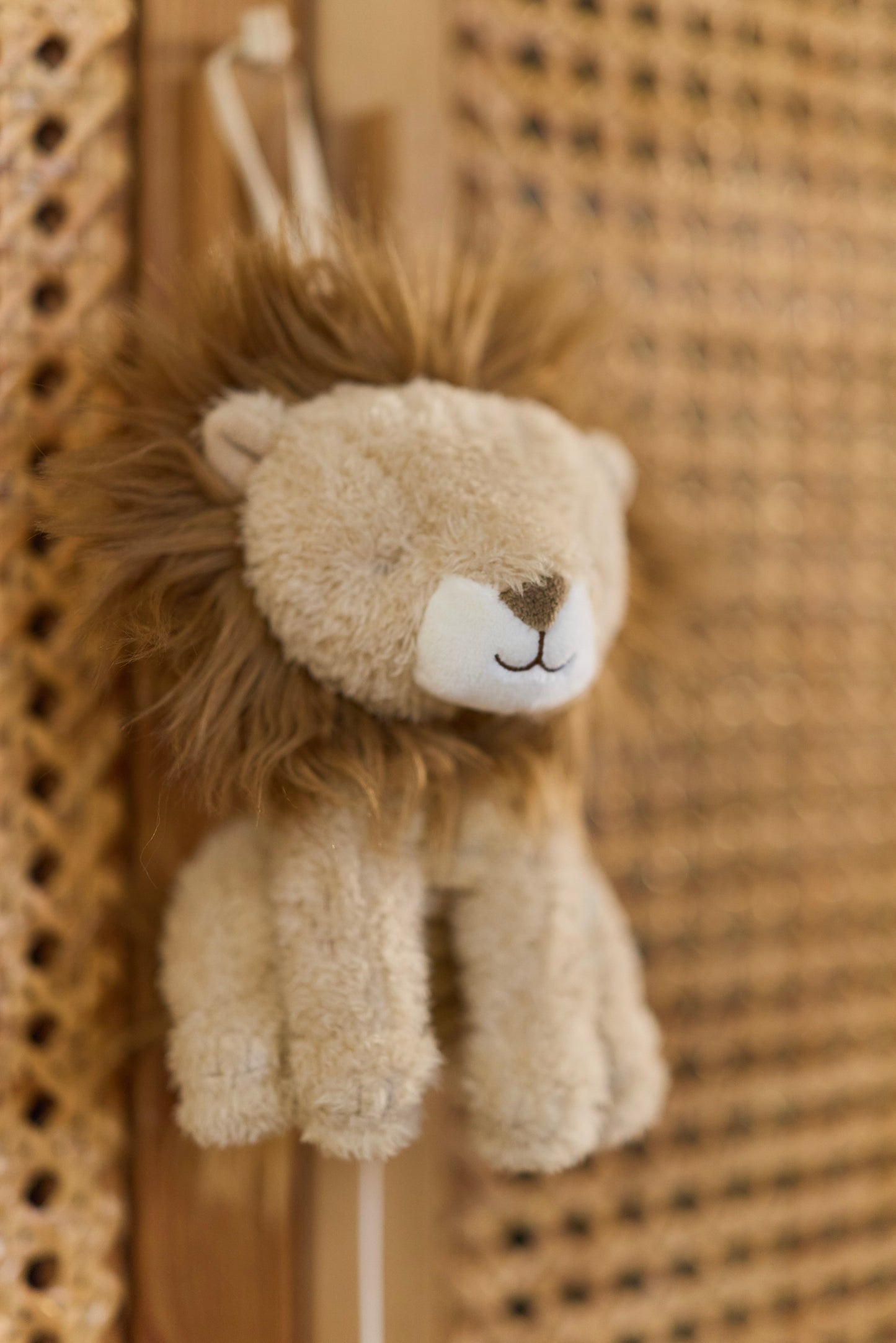 Boîte à musique Lion - Safari Friends
