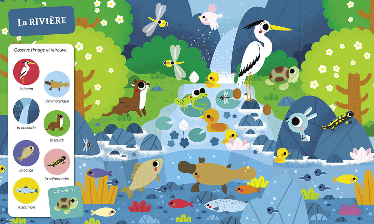 Cherche et trouve des tout-petits - tous à l’eau