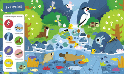Cherche et trouve des tout-petits - tous à l’eau