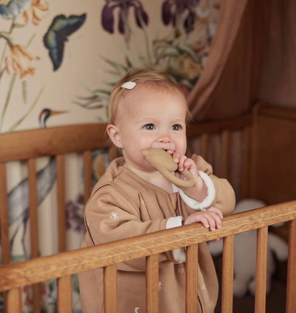 Anneau de Dentition en Caoutchouc - Teddy Bear