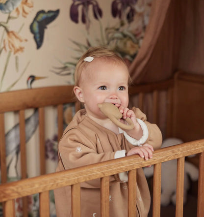 Anneau de Dentition en Caoutchouc - Teddy Bear