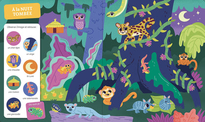 Cherche et trouve des tout-petits - la jungle et la savane