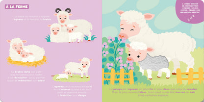 P’tit touche à tout - les bébés animaux
