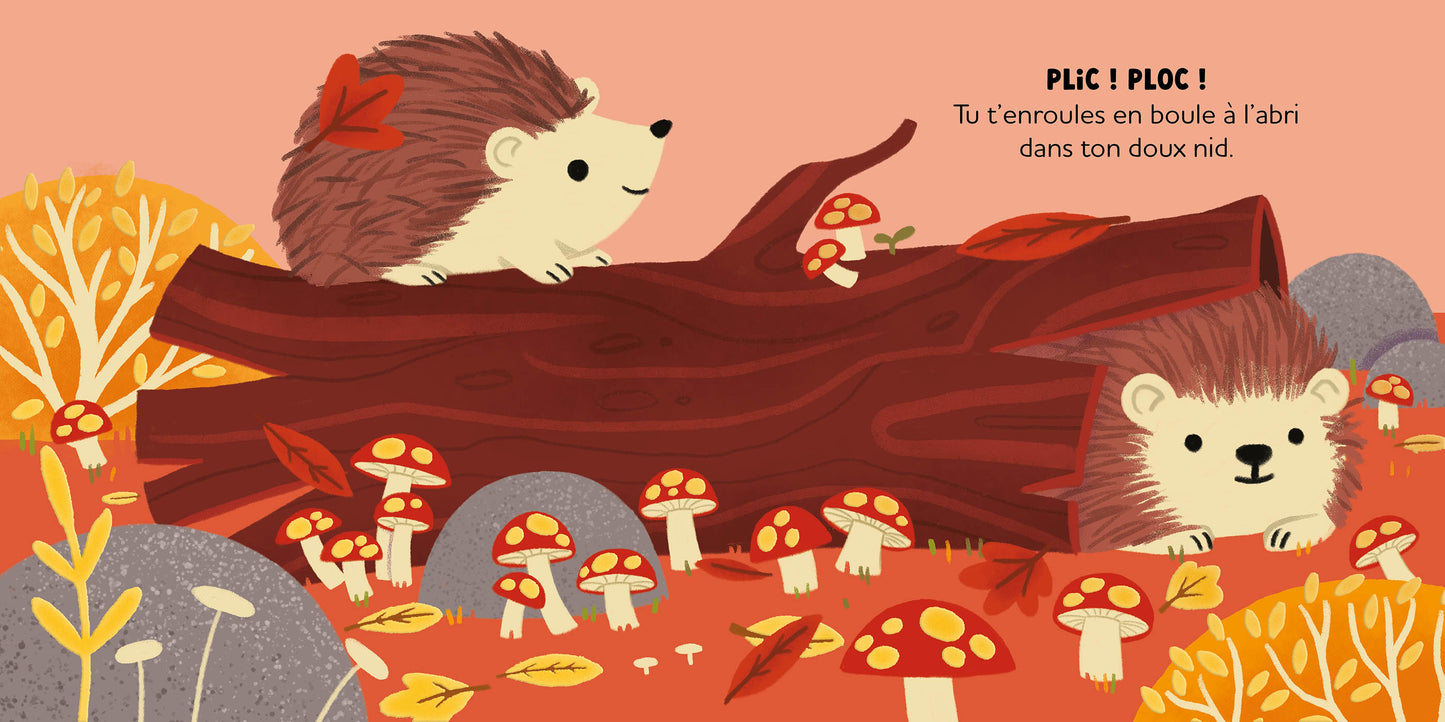 Histoire à câliner - au cœur de la forêt