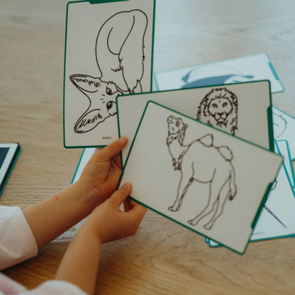 Kidydraw mini - Tablette à dessin Animaux du monde