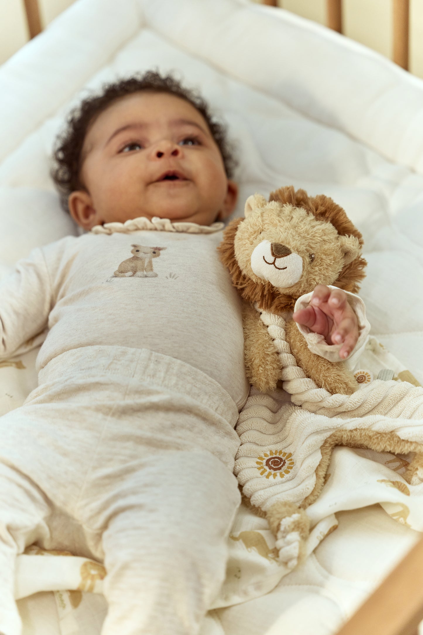 Doudou Lion - Safari Friends