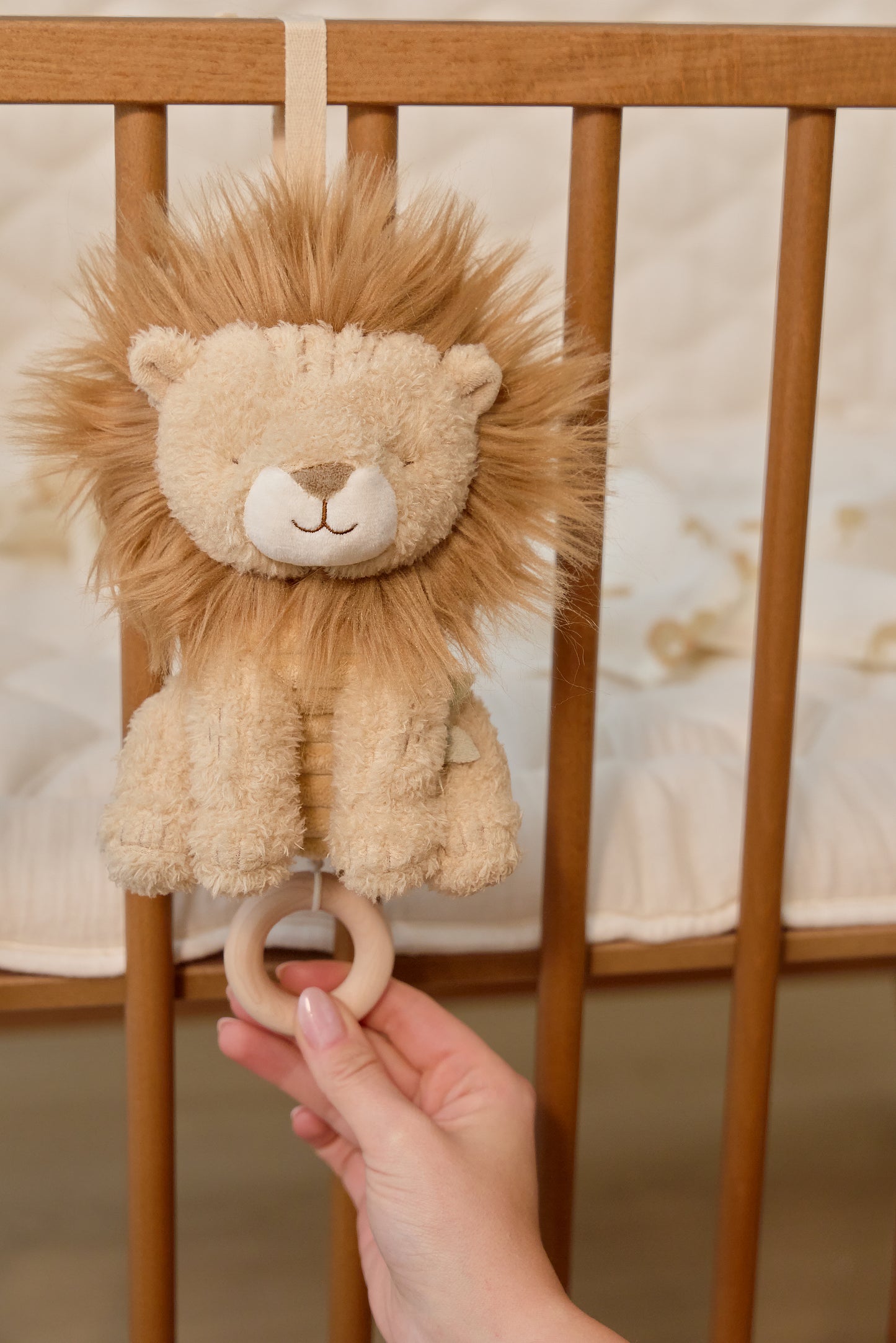 Boîte à musique Lion - Safari Friends