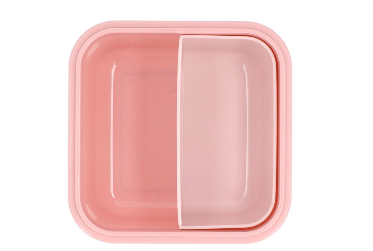Grande boîte repas avec motif insectes