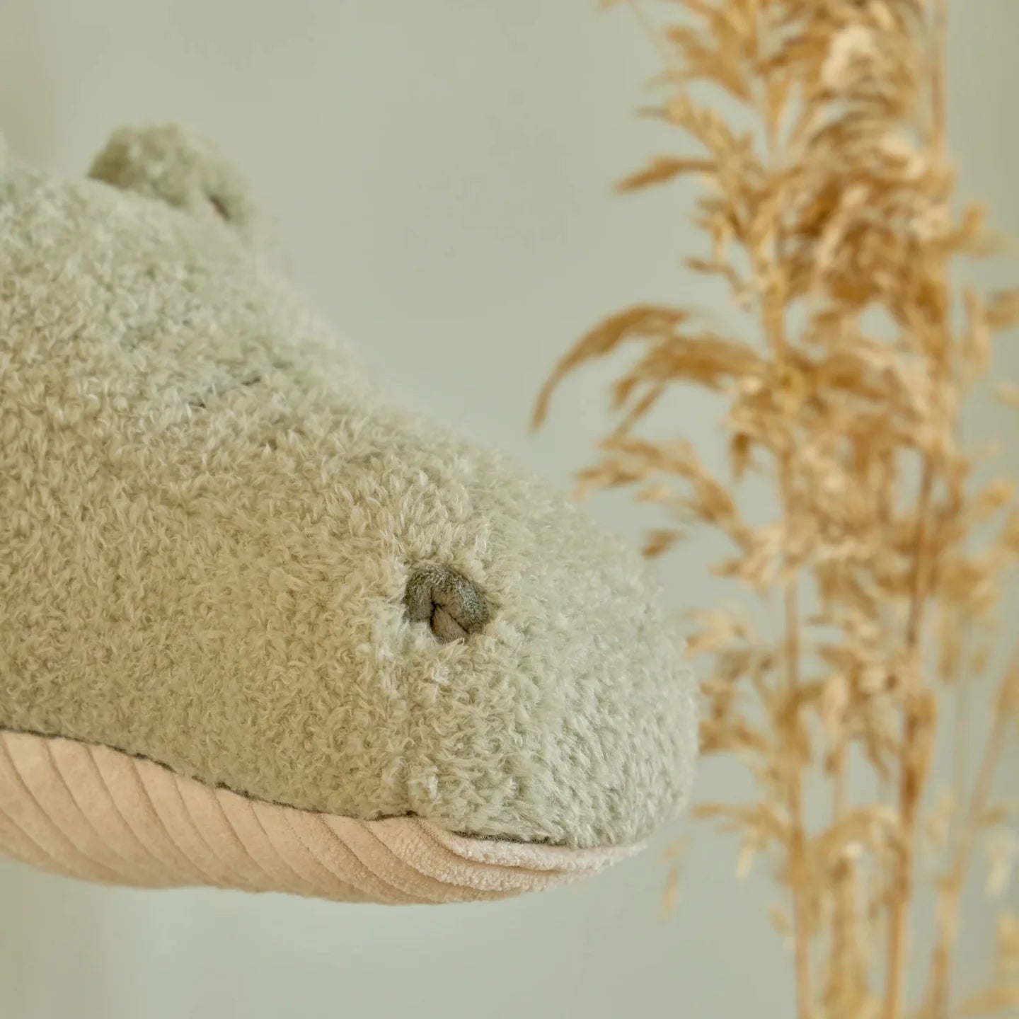 Décoration murale - crocodile