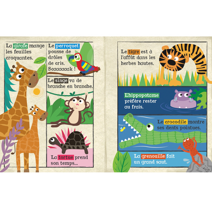 Mon petit journal - Animaux du safari