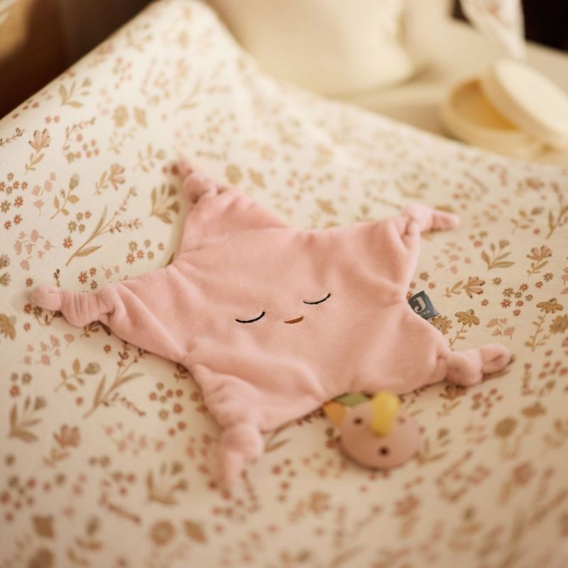 Attache Sucette - Little Star wild rose