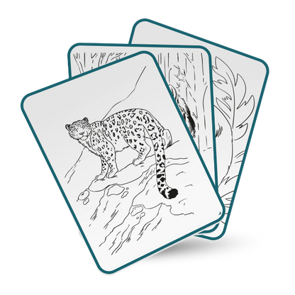 KIDYDRAW-PAD - tablette à dessin lumineuse Animaux