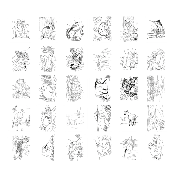 KIDYDRAW-PAD - tablette à dessin lumineuse Animaux
