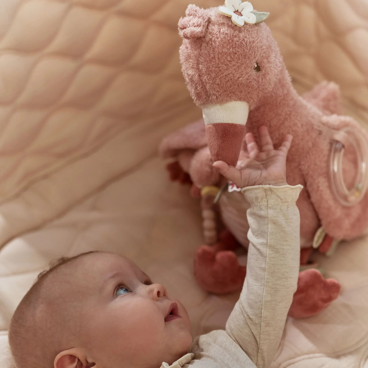 Peluche d'activités Flamant rose - Safari Friends
