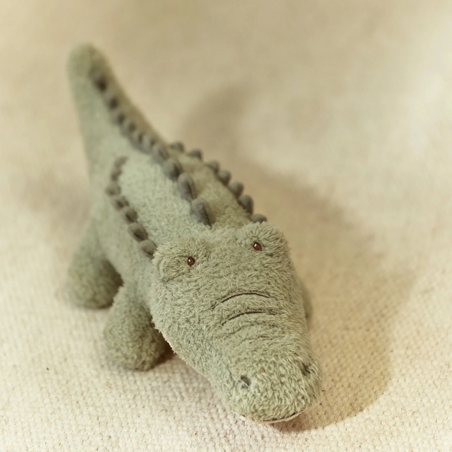 Peluche Crocodile - Vert