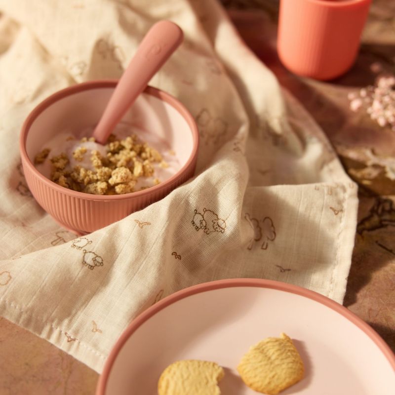 Coffret repas en silicone Blush Shades