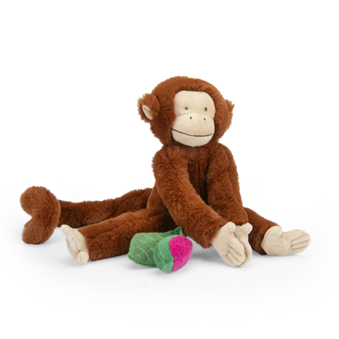 Singe Mochica d'activités à suspendre - La forêt de Mawa