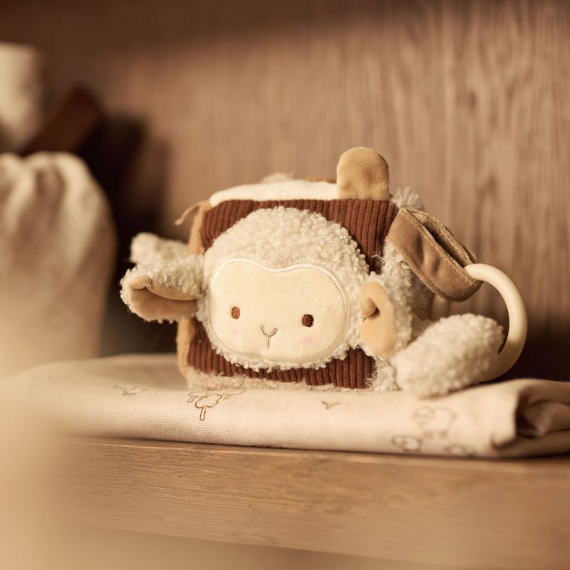 Cube d'activités Woolly