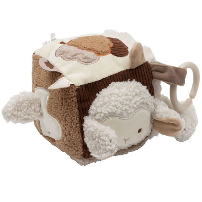 Cube d'activités Woolly